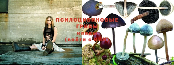 марихуана Медногорск