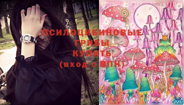 соль курить ск Медвежьегорск